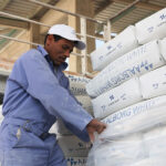 Portland cement
