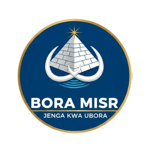 Bora Misr